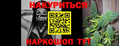 ГАЛЛЮЦИНОГЕННЫЕ ГРИБЫ Кингисепп
