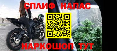 ГАЛЛЮЦИНОГЕННЫЕ ГРИБЫ Кингисепп