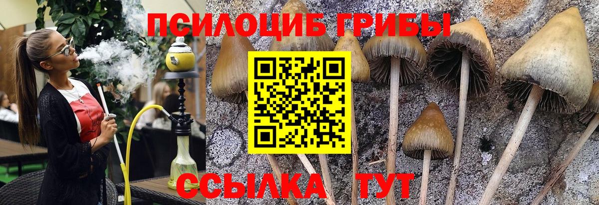 Псилоцибиновые грибы ЛСД  Вход с VPN  Красногорск 