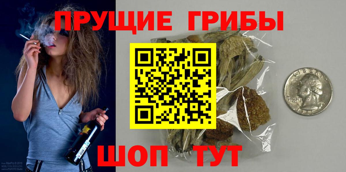 APVP Красногорск