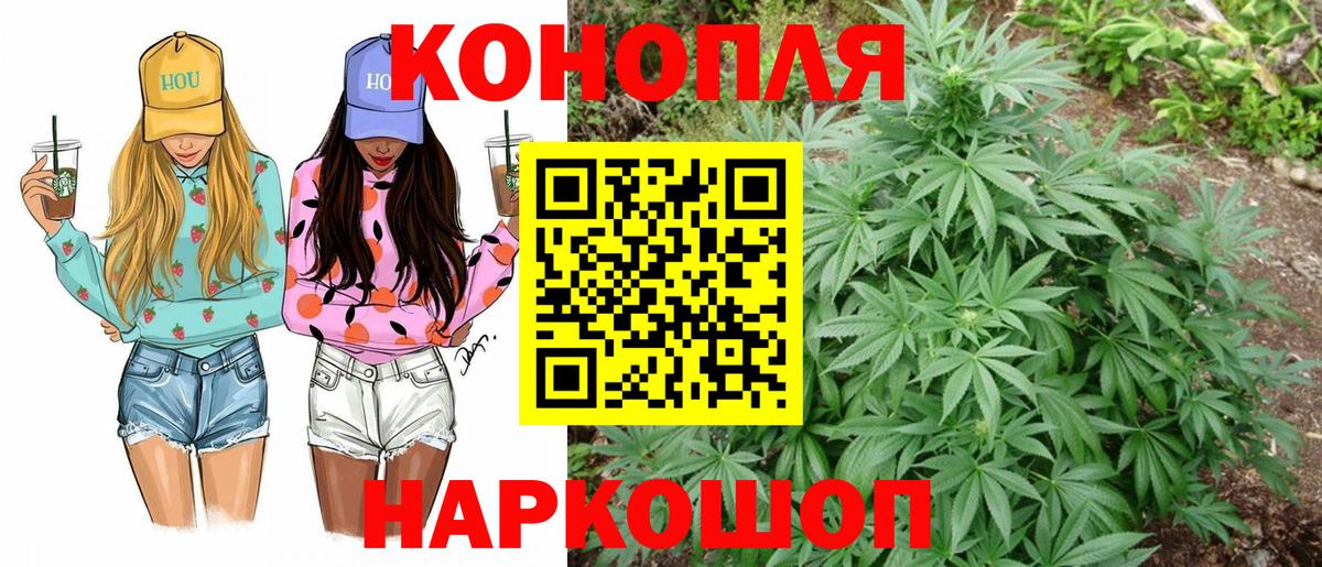 Конопля сатива  Вход с VPN  Красногорск  Каннабис сатива  Шишки марихуана тримм  Конопля Bruce Banner 